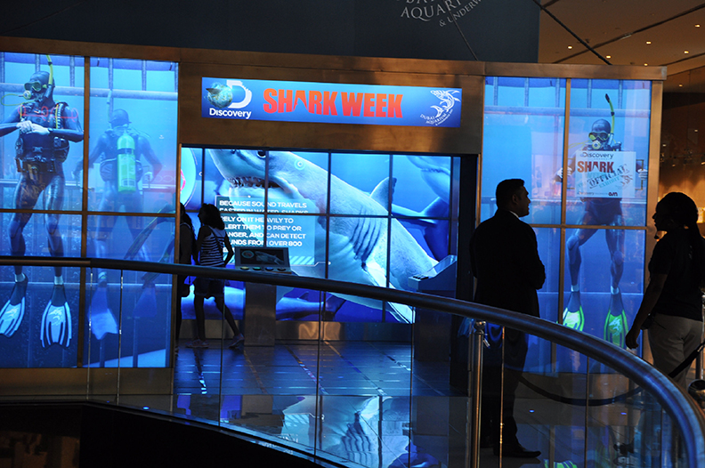 Dubai Aquarium2