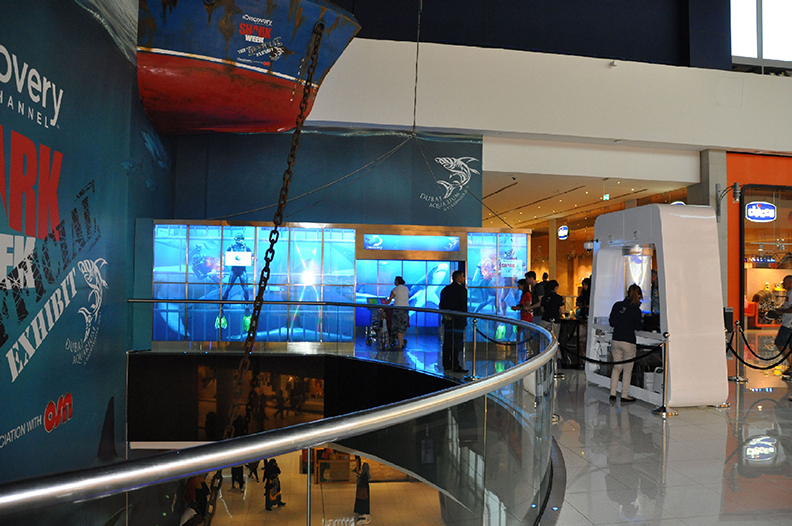 Dubai Aquarium5